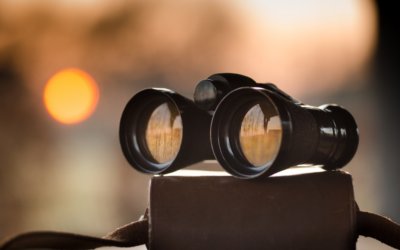 What’s ahead for 2024-25?