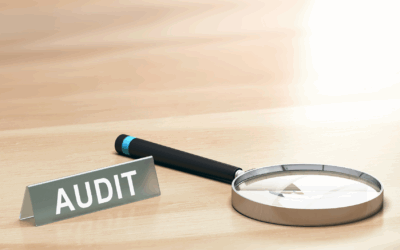 Tax audit insurance for small business owners